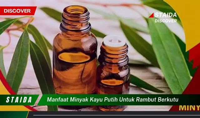 Temukan Rahasia Minyak Kayu Putih untuk Rambut Bebas Kutu