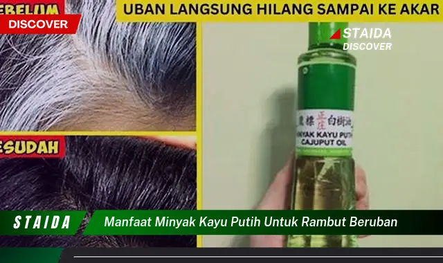 Temukan 7 Khasiat Minyak Kayu Putih untuk Uban yang Jarang Diketahui