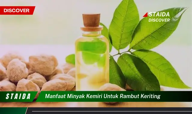 Temukan Rahasia Minyak Kemiri untuk Rambut Keriting yang Jarang Diketahui