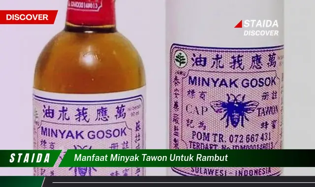 Temukan 7 Manfaat Minyak Tawon untuk Rambut yang Jarang Diketahui