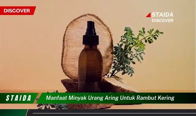 Temukan 7 Manfaat Minyak Urang-aring untuk Rambut Kering yang Jarang Diketahui