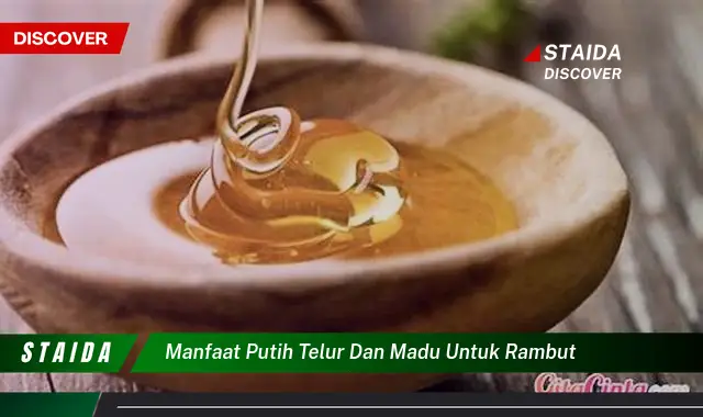 Temukan Rahasia Telur dan Madu untuk Rambut Indah