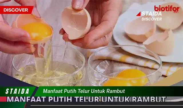 Temukan Manfaat Putih Telur untuk Rambut yang Jarang Diketahui