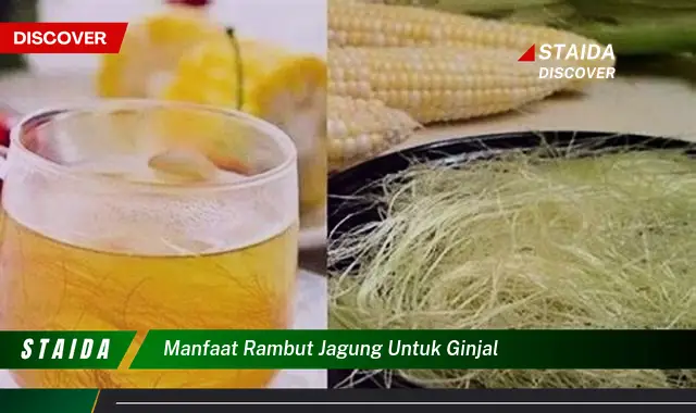 Temukan Manfaat Rambut Jagung untuk Ginjal yang Jarang Diketahui