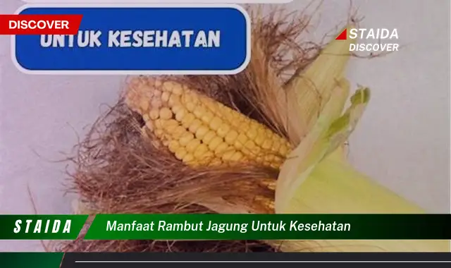 Manfaat Rambut Jagung Untuk Kesehatan yang Perlu Anda Tahu