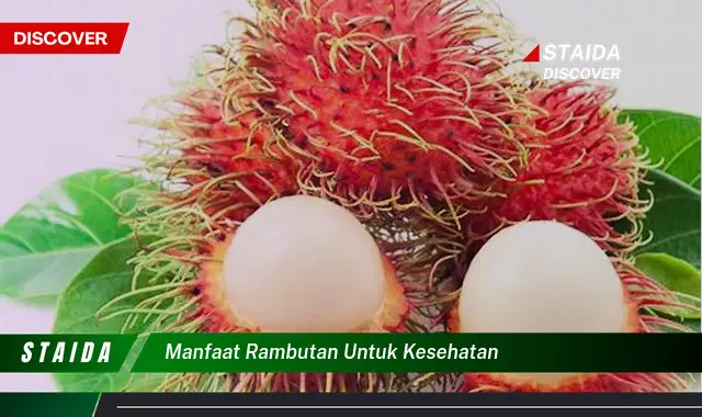 Temukan 7 Manfaat Buah Rambutan yang Belum Banyak Diketahui