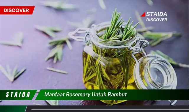 Temukan 7 Manfaat Rosemary untuk Rambut yang Jarang Diketahui