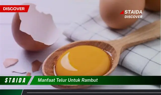 Temukan Manfaat Telur untuk Rambut yang Jarang Diketahui