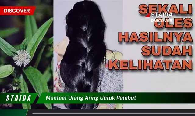 Temukan 7 Manfaat Urang Aring untuk Rambut yang Jarang Diketahui