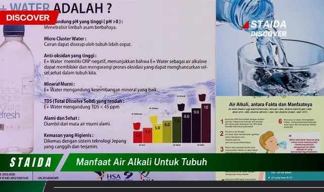 Temukan 7 Manfaat Air Alkali untuk Tubuh yang Jarang Diketahui