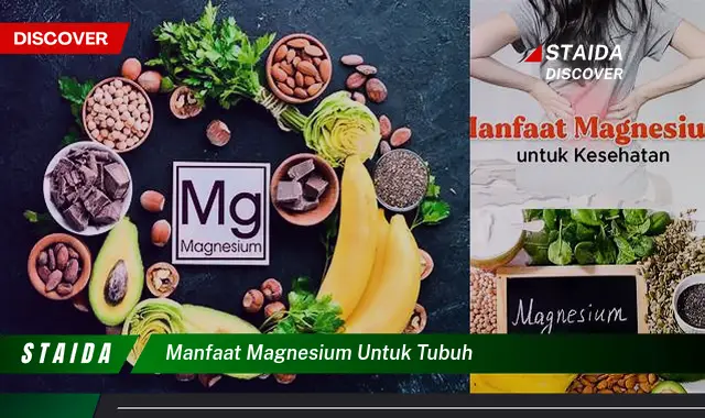 Manfaat Magnesium untuk Tubuh: Temuan dan Wawasan Langka yang Perlu Anda Ketahui