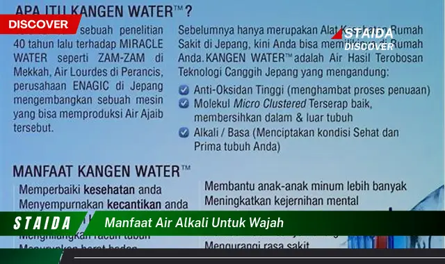 Temukan Manfaat Air Alkali yang Jarang Diketahui untuk Wajah Anda