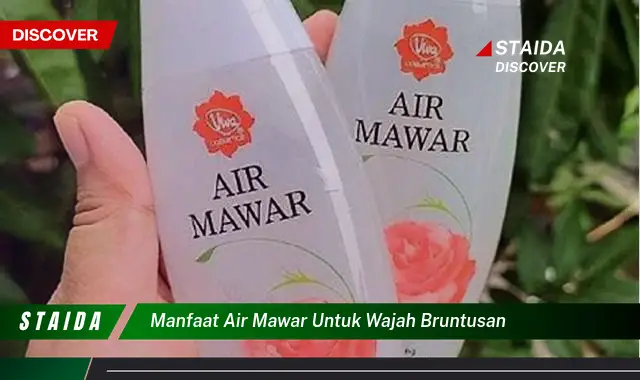 Temukan Rahasia Air Mawar untuk Wajah Bruntusan