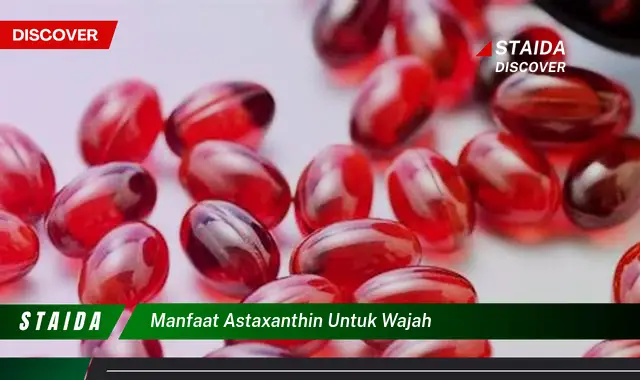 Temukan 7 Manfaat Astaxanthin untuk Wajah yang Jarang Diketahui!