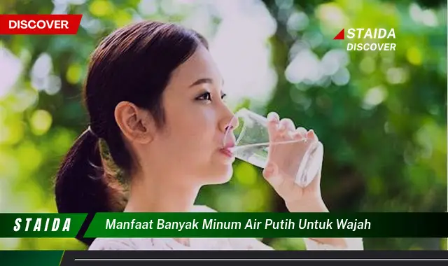 7 Manfaat Minum Banyak Air Putih untuk Wajah yang Jarang Diketahui