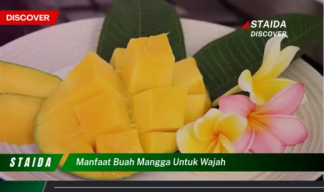 Temukan Manfaat Buah Mangga untuk Wajah yang Belum Banyak Diketahui