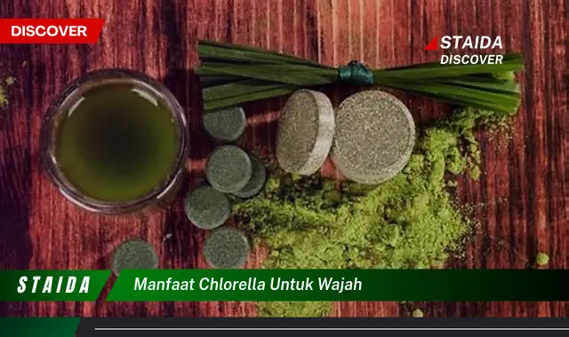 Temukan 7 Manfaat Chlorella untuk Wajah yang Jarang Diketahui