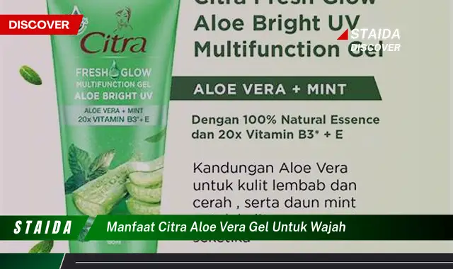 Temukan 7 Rahasia Citra Aloe Vera Gel untuk Wajah yang Jarang Diketahui