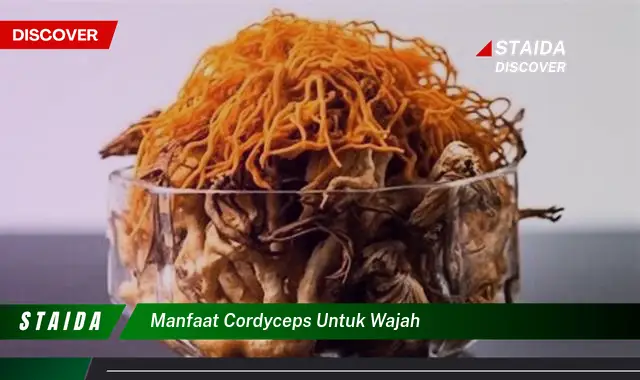 Temukan 7 Manfaat Cordyceps untuk Wajah yang Jarang Diketahui