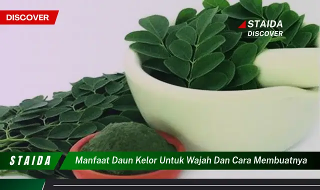 Temukan 7 Manfaat Daun Kelor untuk Wajah yang Jarang Diketahui!