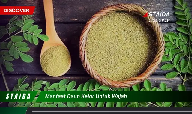 Temukan 7 Manfaat Daun Kelor untuk Wajah yang Jarang Diketahui