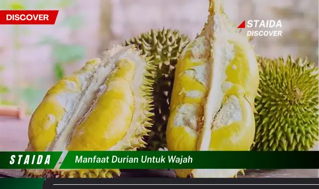 Temukan Khasiat Durian untuk Wajah yang Tak Terduga