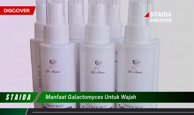 Manfaat Galactomyces untuk Wajah yang Jarang Diketahui