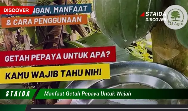 Temukan 7 Manfaat Getah Pepaya untuk Wajah yang Jarang Diketahui