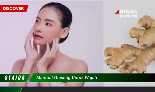 Temukan 7 Manfaat Ginseng untuk Wajah yang Jarang Diketahui