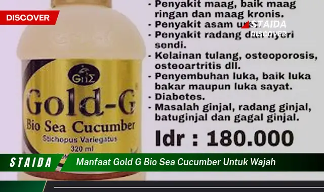 Temukan Rahasia Manfaat Gold G Bio Sea Cucumber untuk Wajah yang Jarang Diketahui