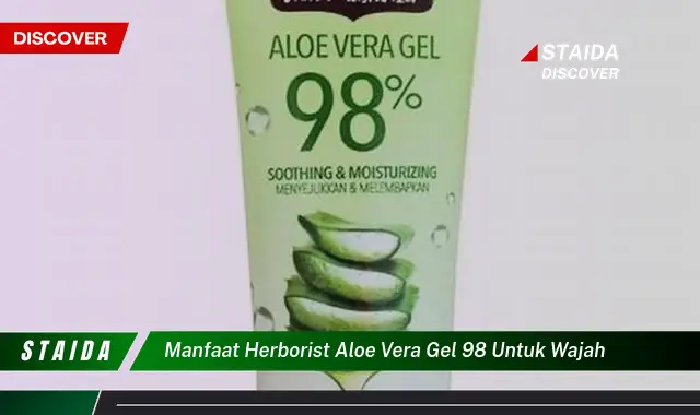 Manfaat Herborist Aloe Vera Gel 98 untuk Wajah yang Jarang Diketahui