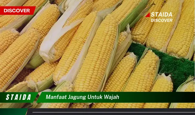 Temukan 7 Manfaat Jagung untuk Wajah yang Jarang Diketahui