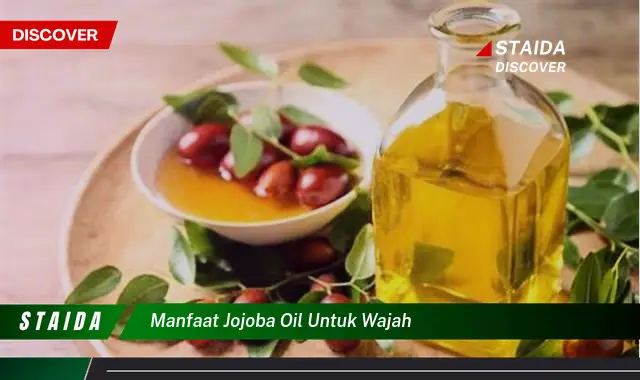 Temukan Manfaat Minyak Jojoba untuk Wajah yang Jarang Diketahui