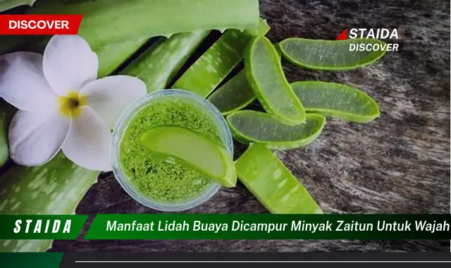 7 Manfaat Lidah Buaya dan Minyak Zaitun untuk Wajah yang Jarang Diketahui