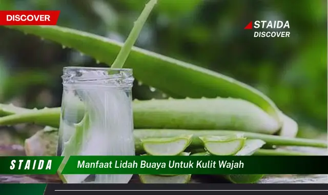 Temukan Khasiat Lidah Buaya untuk Kulit Wajah yang Jarang Diketahui