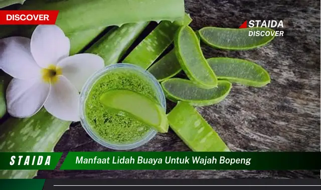 Temukan Manfaat Lidah Buaya untuk Wajah Bopeng yang Jarang Diketahui