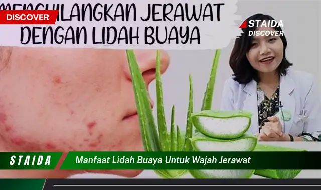 Temukan 7 Manfaat Lidah Buaya untuk Wajah Berjerawat yang Jarang Diketahui