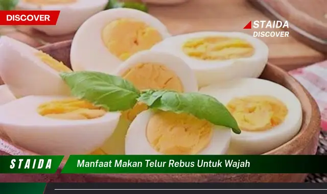 Temukan 7 Manfaat Makan Telur Rebus untuk Wajah yang Jarang Diketahui