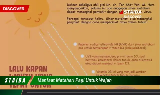 Temukan 7 Manfaat Matahari Pagi untuk Wajah Anda yang Jarang Diketahui