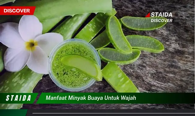 Temukan Manfaat Minyak Buaya Wajah yang Jarang Diketahui