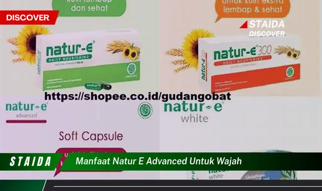 Temukan Manfaat Natur-E Advanced untuk Wajah yang Jarang Diketahui