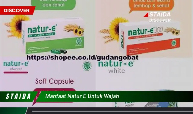 Temukan 7 Manfaat Natur-E untuk Wajah yang Jarang Diketahui