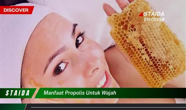 Temukan Manfaat Propolis untuk Wajah yang Jarang Diketahui