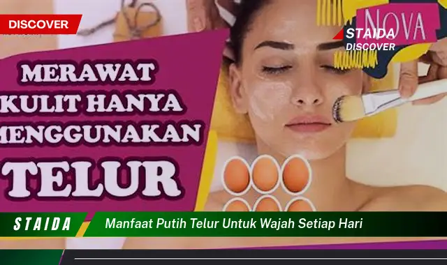 Temukan Rahasia Manfaat Putih Telur untuk Wajah yang Jarang Diketahui!