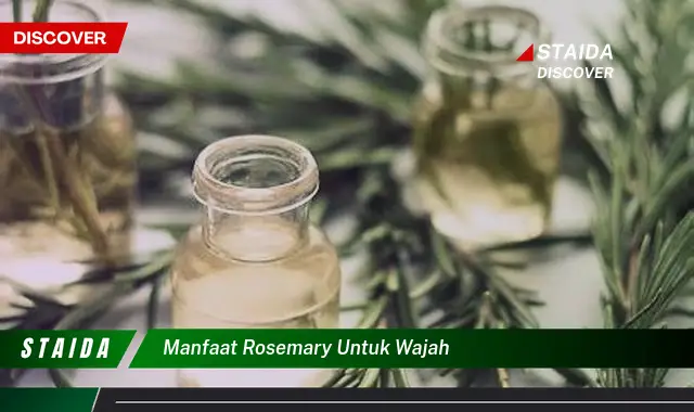 Temukan Manfaat Rosemary untuk Wajah yang Jarang Diketahui