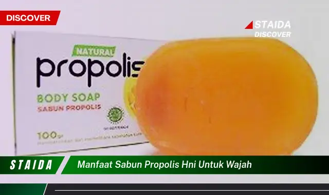 Temukan 7 Khasiat Sabun Propolis HNI untuk Wajah yang Wajib Diketahui