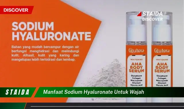 Temukan Beragam Manfaat Sodium Hyaluronate untuk Wajah yang Tak Terduga