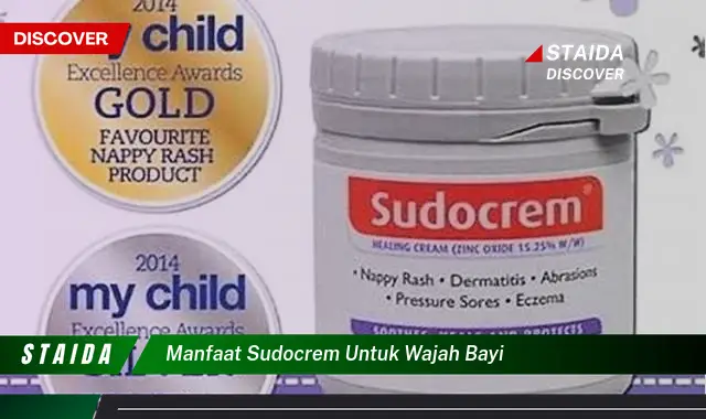 Temukan 7 Manfaat Sudocrem untuk Wajah Bayi yang Jarang Diketahui