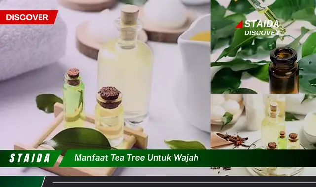 Temukan Manfaat Minyak Tea Tree untuk Wajah yang Jarang Diketahui!