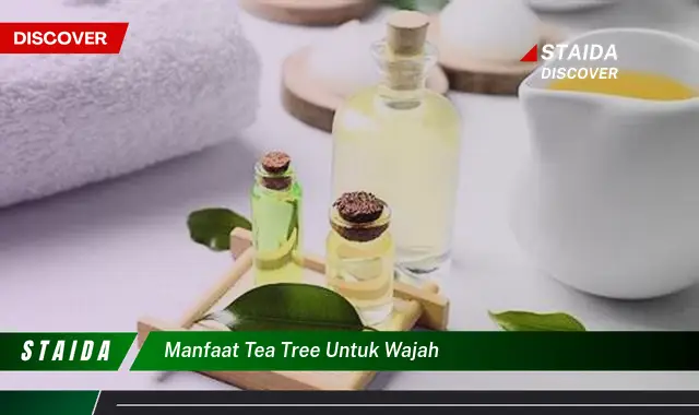 Temukan Manfaat Minyak Tea Tree untuk Wajah yang Jarang Diketahui!